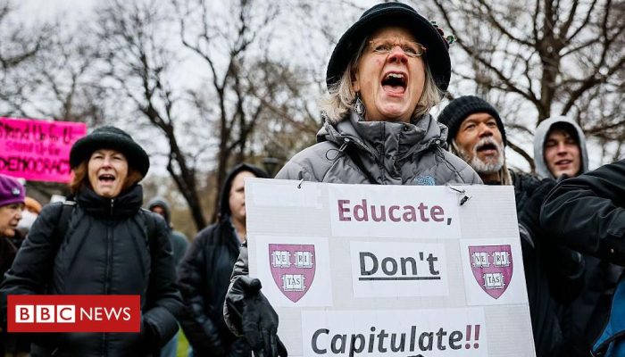 02d49ae0-1993-11f0-8126-d16688a09449.jpg 02d49ae0-1993-11f0-8126-d16688a09449.jpg