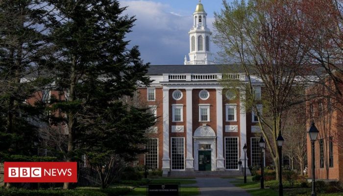 07e8f3e0-373f-11f0-8519-3b5a01ebe413.jpg 07e8f3e0-373f-11f0-8519-3b5a01ebe413.jpg