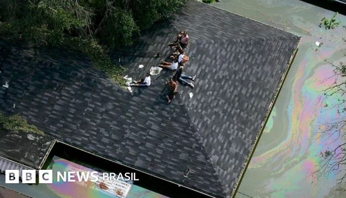 08177cd0-7f9f-11f0-a34f-318be3fb0481.jpg 08177cd0-7f9f-11f0-a34f-318be3fb0481.jpg