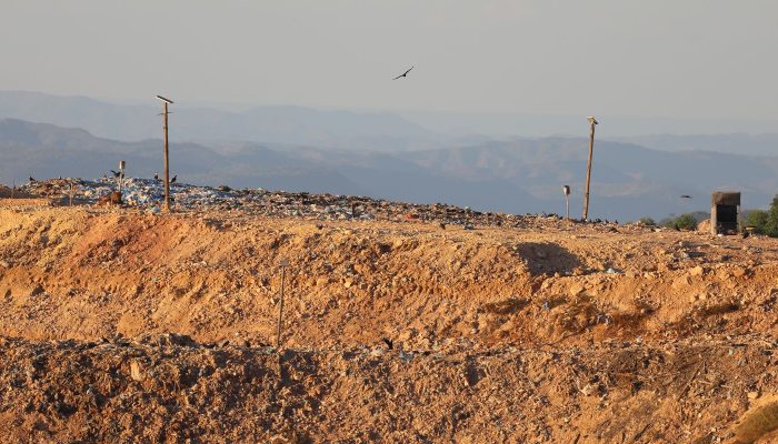 0d7a9219_1.jpg 0d7a9219_1.jpg