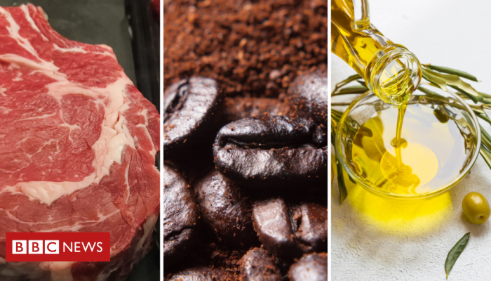 0d7f8c70-e7e3-11ef-bd1b-d536627785f2.png 0d7f8c70-e7e3-11ef-bd1b-d536627785f2.png