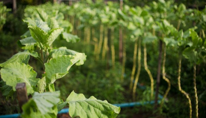 1020980-00119.05.2016-.jpg 1020980-00119.05.2016-.jpg