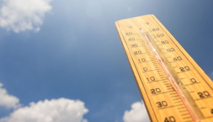 12172449404514.jpg 12172449404514.jpg