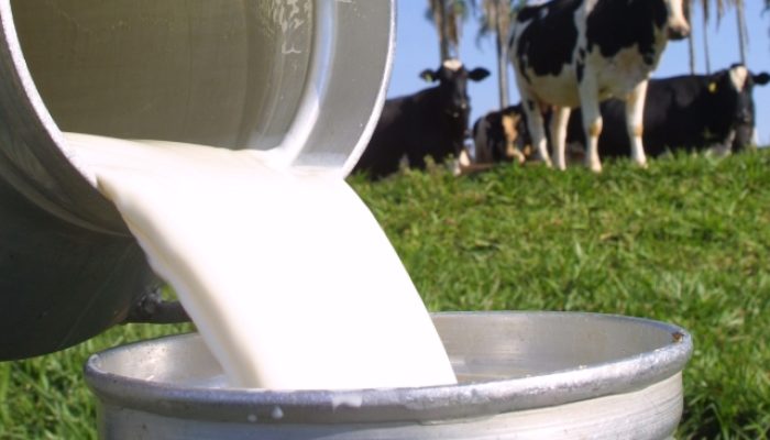 134675_leite-2-jpg.jpg