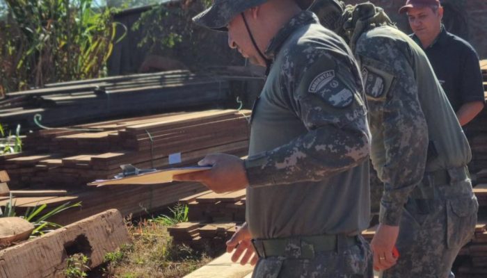 135587_apreensao-de-madeira-jpg.jpg 135587_apreensao-de-madeira-jpg.jpg