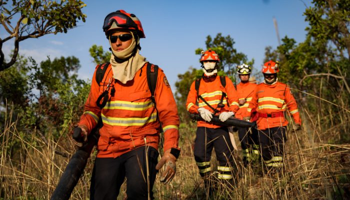 135598_bombeiros-jpg.jpg 135598_bombeiros-jpg.jpg