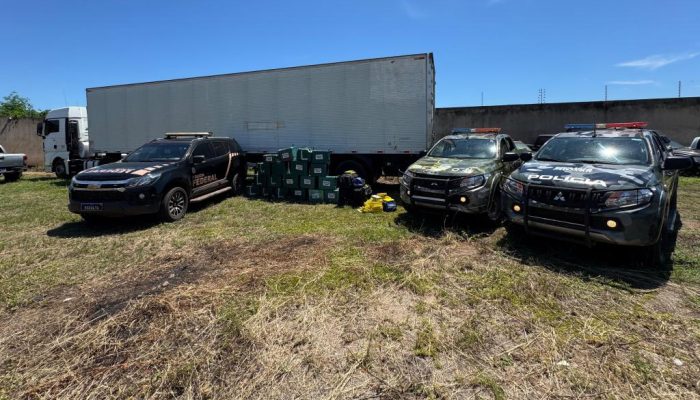 135706_apreensao-de-drogas-13-jpeg.jpeg 135706_apreensao-de-drogas-13-jpeg.jpeg