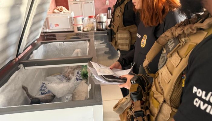 135846_policia-civil-em-evento-7-jpeg.jpeg 135846_policia-civil-em-evento-7-jpeg.jpeg