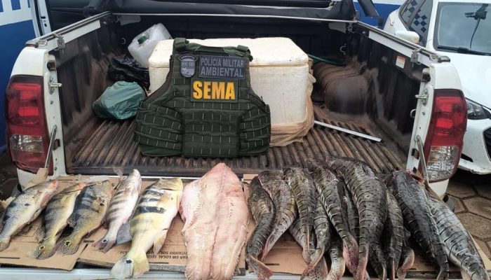 136462_apreensao-de-peixes-jpg.jpg 136462_apreensao-de-peixes-jpg.jpg