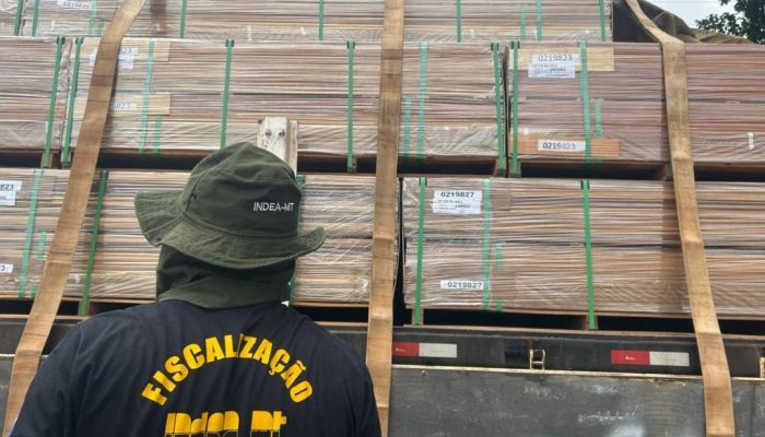 137048_indea-mt-fiscalizacao-2-jpeg.jpeg