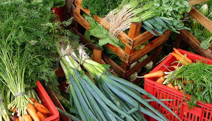 138200040o.jpg 138200040o.jpg