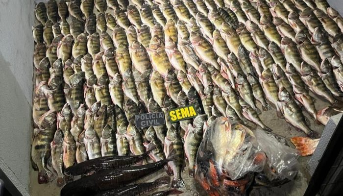 139061_apreensao-de-peixes-3-jpg.jpg