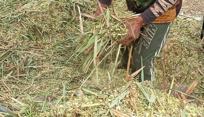 139282_pequeno-agricultor-2-jpg.jpg