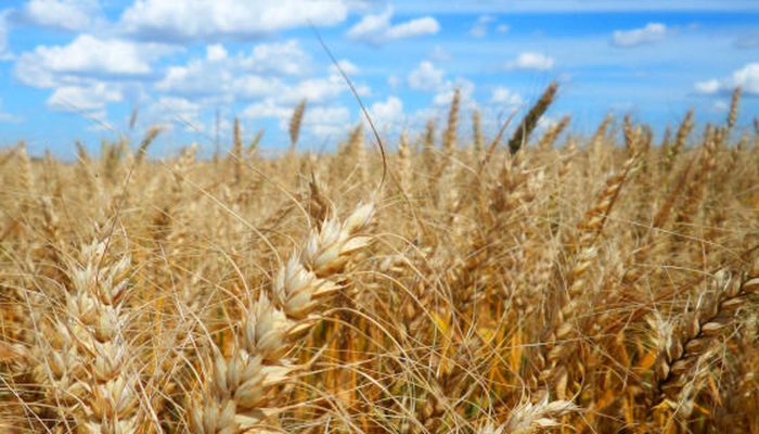 139480040m.jpg 139480040m.jpg