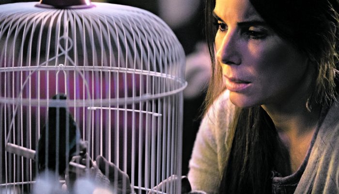 15454297965c1d6324aa3da_1545429796_3x2_xl.jpg 15454297965c1d6324aa3da_1545429796_3x2_xl.jpg