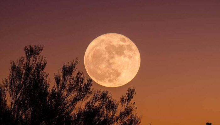 1619360217608579d92cf92_1619360217_3x2_lg.jpg 1619360217608579d92cf92_1619360217_3x2_lg.jpg