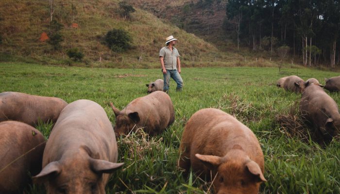 163397604861647ef0e6e38_1633976048_3x2_rt.jpg 163397604861647ef0e6e38_1633976048_3x2_rt.jpg