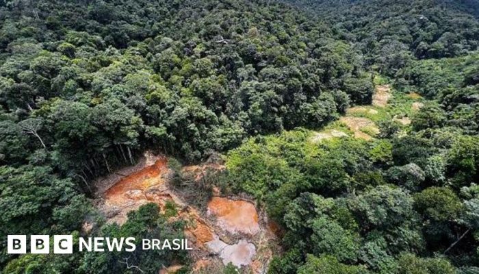 171729f0-5e3f-11f0-be82-117161087dc9.jpg 171729f0-5e3f-11f0-be82-117161087dc9.jpg