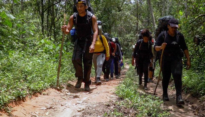 17284300056705bfb517d6e_1728430005_3x2_xl.jpg 17284300056705bfb517d6e_1728430005_3x2_xl.jpg