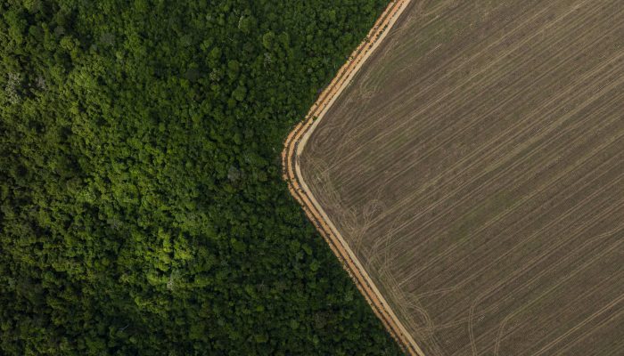 1728682490670999faa9620_1728682490_3x2_rt.jpg 1728682490670999faa9620_1728682490_3x2_rt.jpg