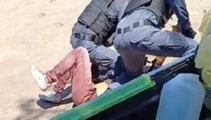 173-3-768×648-1.jpg 173-3-768x648-1.jpg