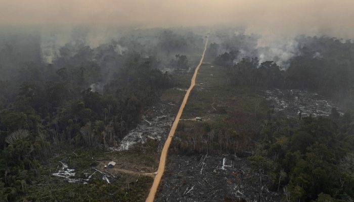 17337508376756f0357938d_1733750837_3x2_rt.jpg 17337508376756f0357938d_1733750837_3x2_rt.jpg