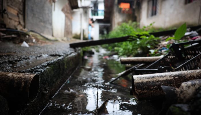 173697363067881d3e74707_1736973630_3x2_rt.jpg 173697363067881d3e74707_1736973630_3x2_rt.jpg