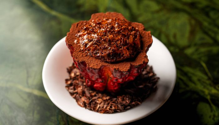 1738244913679b8331e4590_1738244913_3x2_rt.jpg 1738244913679b8331e4590_1738244913_3x2_rt.jpg