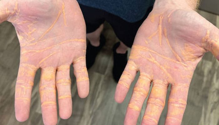 1738511371679f940b850d2_1738511371_3x2_lg.jpg 1738511371679f940b850d2_1738511371_3x2_lg.jpg