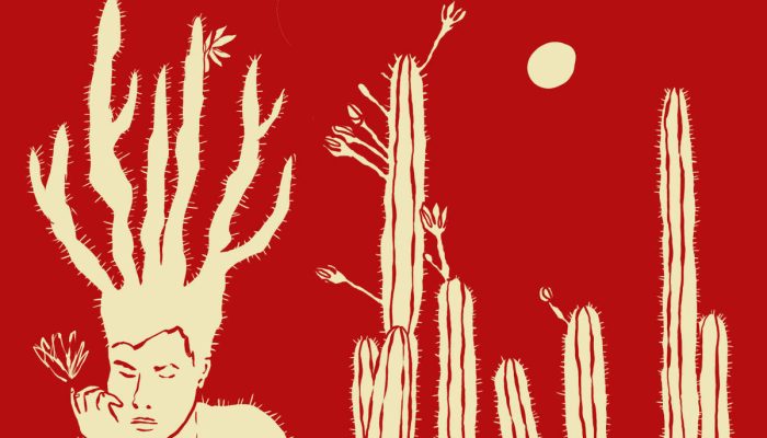 174050592567be034596b3c_1740505925_3x2_xl.jpg 174050592567be034596b3c_1740505925_3x2_xl.jpg