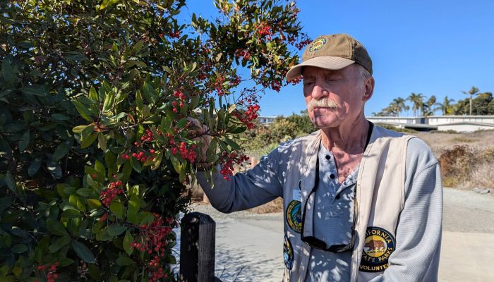 174077819967c22ad74a113_1740778199_3x2_rt.jpg 174077819967c22ad74a113_1740778199_3x2_rt.jpg