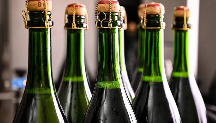 174216351167d74e3782bcc_1742163511_3x2_rt.jpg 174216351167d74e3782bcc_1742163511_3x2_rt.jpg