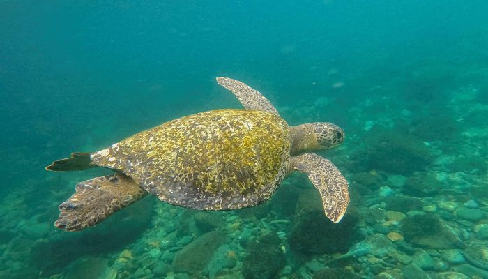 17450108736802c0b90c71b_1745010873_3x2_rt.jpg 17450108736802c0b90c71b_1745010873_3x2_rt.jpg