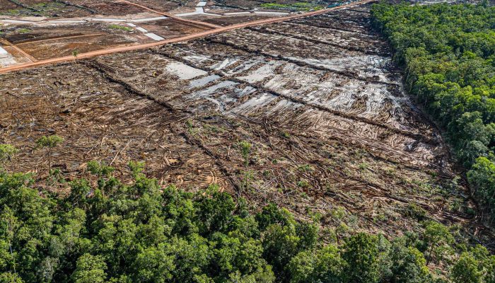 17453523016807f66db3e81_1745352301_3x2_rt.jpg 17453523016807f66db3e81_1745352301_3x2_rt.jpg