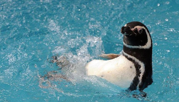 1746580234681ab30ad5408_1746580234_3x2_lg.jpg 1746580234681ab30ad5408_1746580234_3x2_lg.jpg