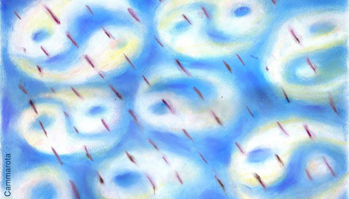 17469767106820bfc700070_1746976710_3x2_rt.jpg 17469767106820bfc700070_1746976710_3x2_rt.jpg