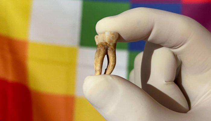 17485506256838c3e1a7c51_1748550625_3x2_rt.jpg 17485506256838c3e1a7c51_1748550625_3x2_rt.jpg