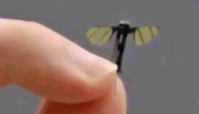 17512220906861874a21e9c_1751222090_3x2_lg.jpg 17512220906861874a21e9c_1751222090_3x2_lg.jpg