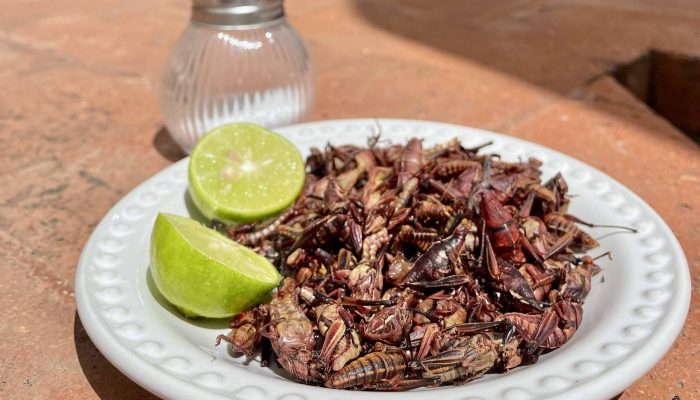 1752166547686ff093dbcd9_1752166547_3x2_rt.jpg 1752166547686ff093dbcd9_1752166547_3x2_rt.jpg