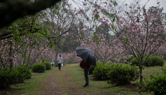 17534789526883f72844421_1753478952_3x2_rt.jpg 17534789526883f72844421_1753478952_3x2_rt.jpg