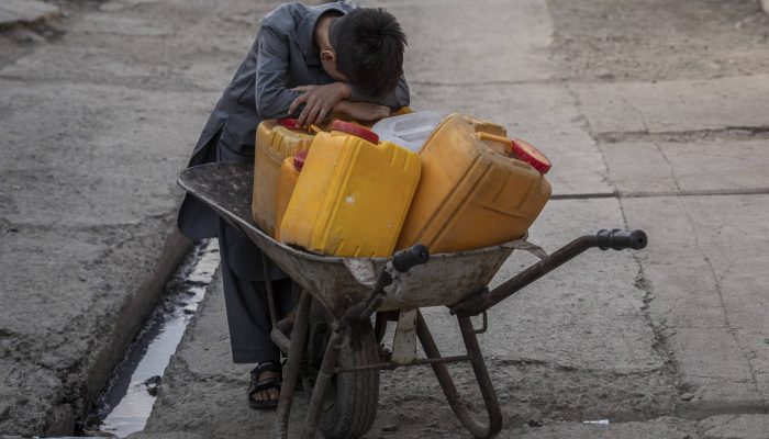 1755185130689dffeadaebe_1755185130_3x2_rt.jpg 1755185130689dffeadaebe_1755185130_3x2_rt.jpg