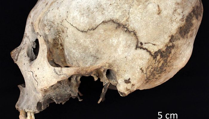 175624248268ae223221919_1756242482_3x2_rt.jpg 175624248268ae223221919_1756242482_3x2_rt.jpg