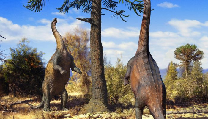 175631314968af363dc6b14_1756313149_3x2_lg.jpg 175631314968af363dc6b14_1756313149_3x2_lg.jpg