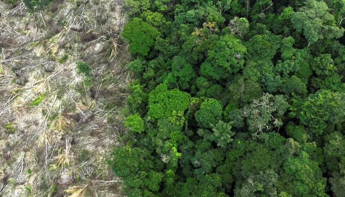 1757933698_amazonia_desmatamento_1.jpg 1757933698_amazonia_desmatamento_1.jpg