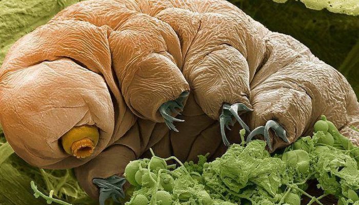 175881771268d56db07445a_1758817712_3x2_lg.jpg 175881771268d56db07445a_1758817712_3x2_lg.jpg