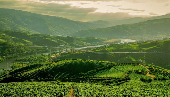 176002936668e7eab6b9a6f_1760029366_3x2_rt.jpg 176002936668e7eab6b9a6f_1760029366_3x2_rt.jpg