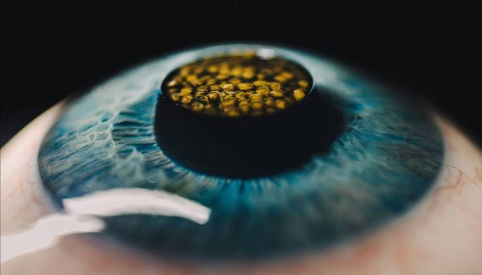 176116757168f948d3da251_1761167571_3x2_xl.jpg 176116757168f948d3da251_1761167571_3x2_xl.jpg