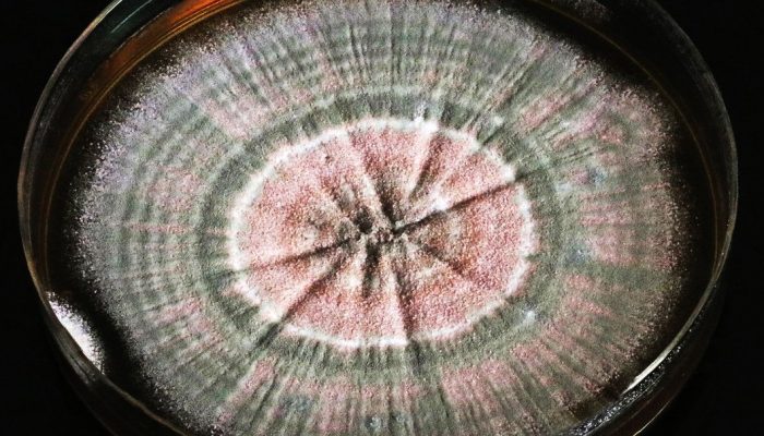 20104121833037.jpg 20104121833037.jpg