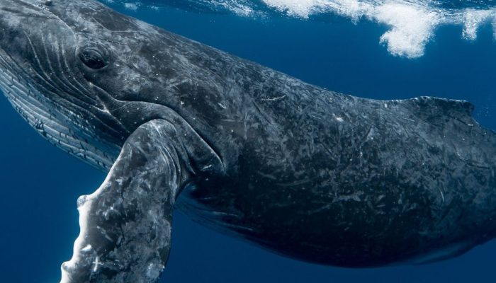 20181903058357.jpg 20181903058357.jpg