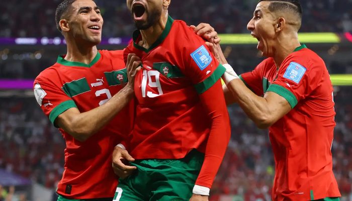 2022-12-10t000000z_572919338_up1eica17t9a3_rtrmadp_3_soccer-worldcup-mar-por-report.jpg